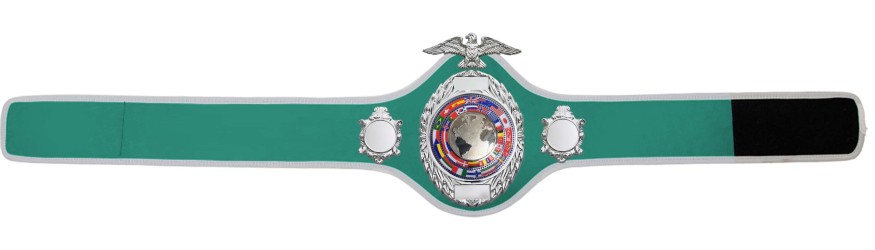 CHAMPIONSHIP BELT PRO288/S/FLAGS - AVAILABLE IN 10 COLOURS CHAMPIONSHIP BELT PRO288/S/FLAGS - AVAILABLE IN 10 COLOURS